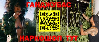 амф Донской